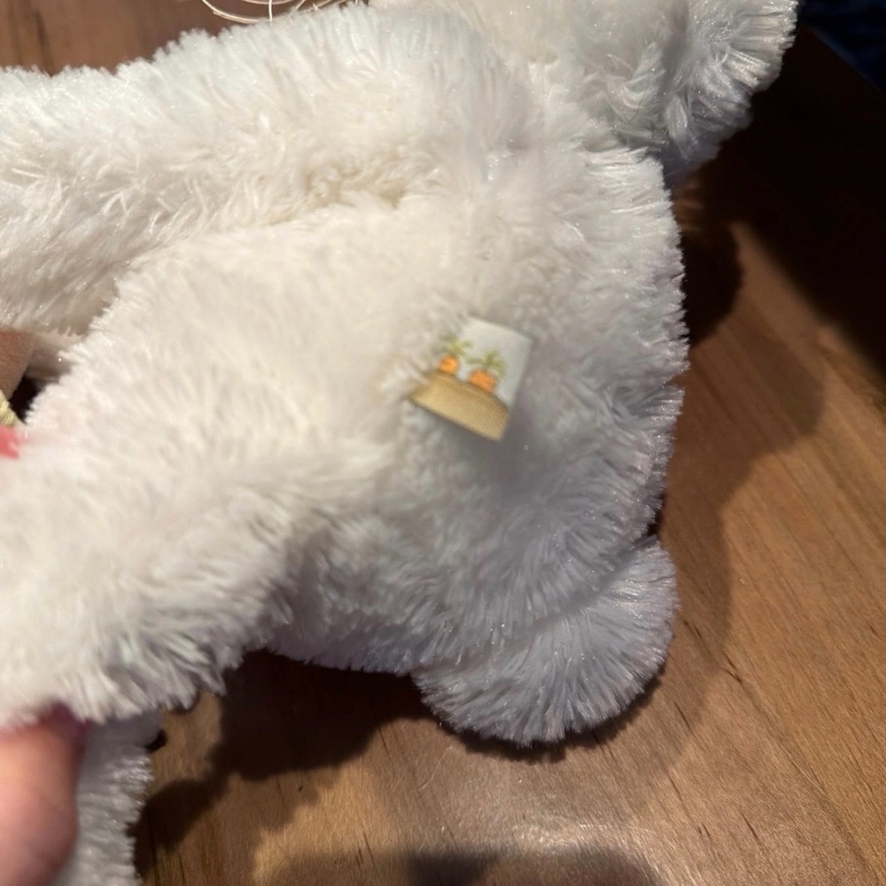 Bunnies by the bay plush shut bunny rabbit baby toy with shake rattle carrot - Picture 3 of 5